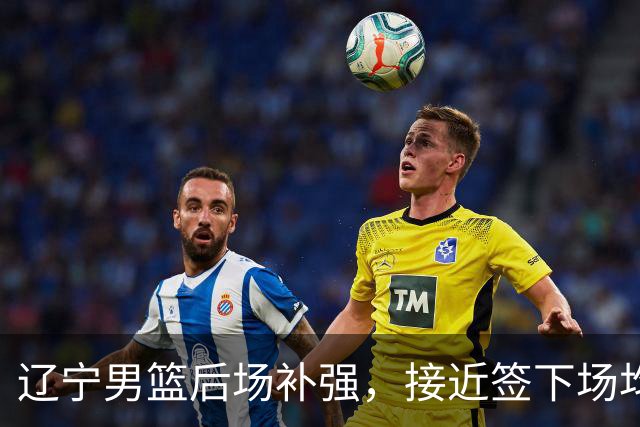 辽宁男篮后场补强，接近签下场均12.7分优质国产后卫，王岚嵚有可能离队！