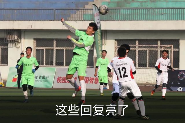 这些回复亮了
