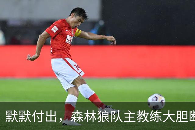默默付出，森林狼队主教练大胆断言戈贝尔“首轮入选名人堂”